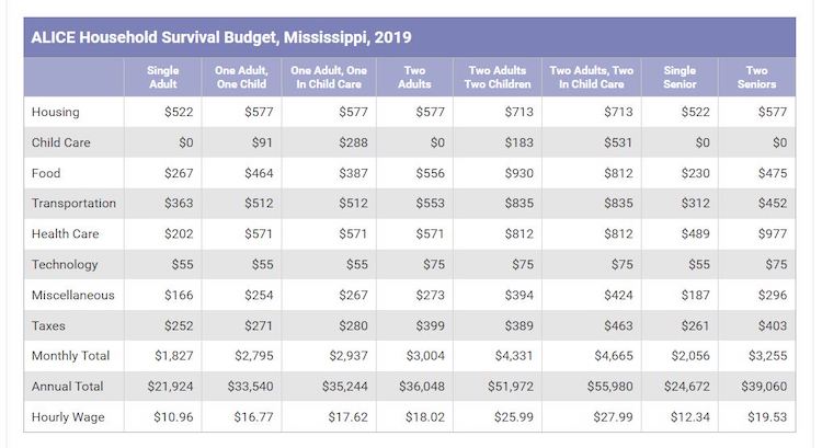 Household Survival Budget